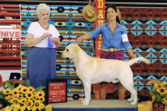 BerghieWinnersDogDavieFL